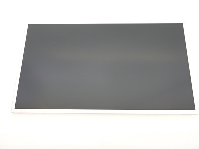 12.5" Matte LED LCD WXGA 1366x768 B125XW02 Screen Display