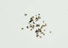 Parts for iPhone 5c - NEW Full Screw Screws Set for iPhone 5C A1532 A1456 A1507 A1526 A1529 A1516